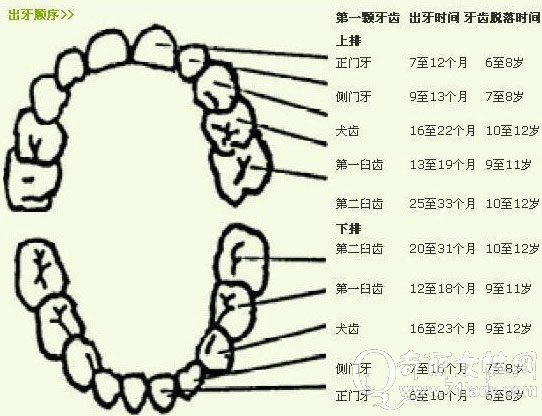 怎么判断宝宝长牙发烧一般要多久,宝宝长牙发烧一般在什么时间段