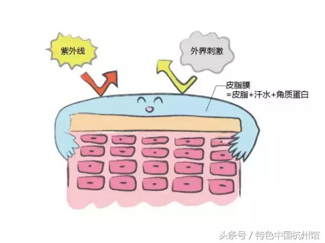 既能补水又能锁水的爽肤水推荐,皮肤干燥怎么补水锁水