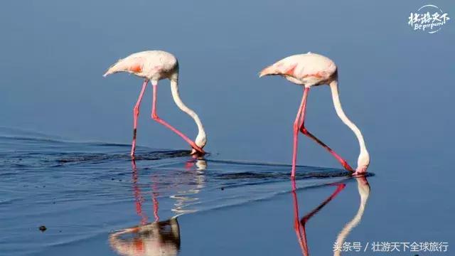 2018一起去旅行吧,2018一起旅行