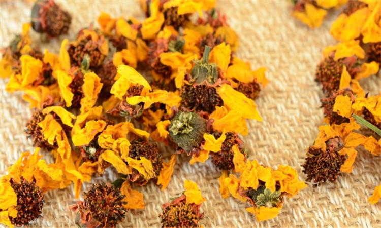 雪菊代用茶美容养颜,雪菊的面霜功效与作用有哪些