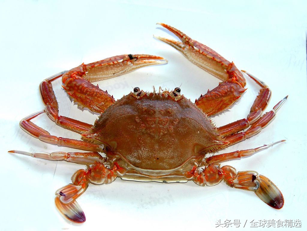 吃多了会丢掉小命十大常见食物,什么食物同吃会出人命