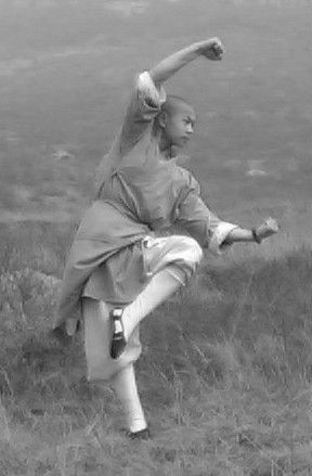 罗汉拳教学视频,罗汉拳与佛掌拳