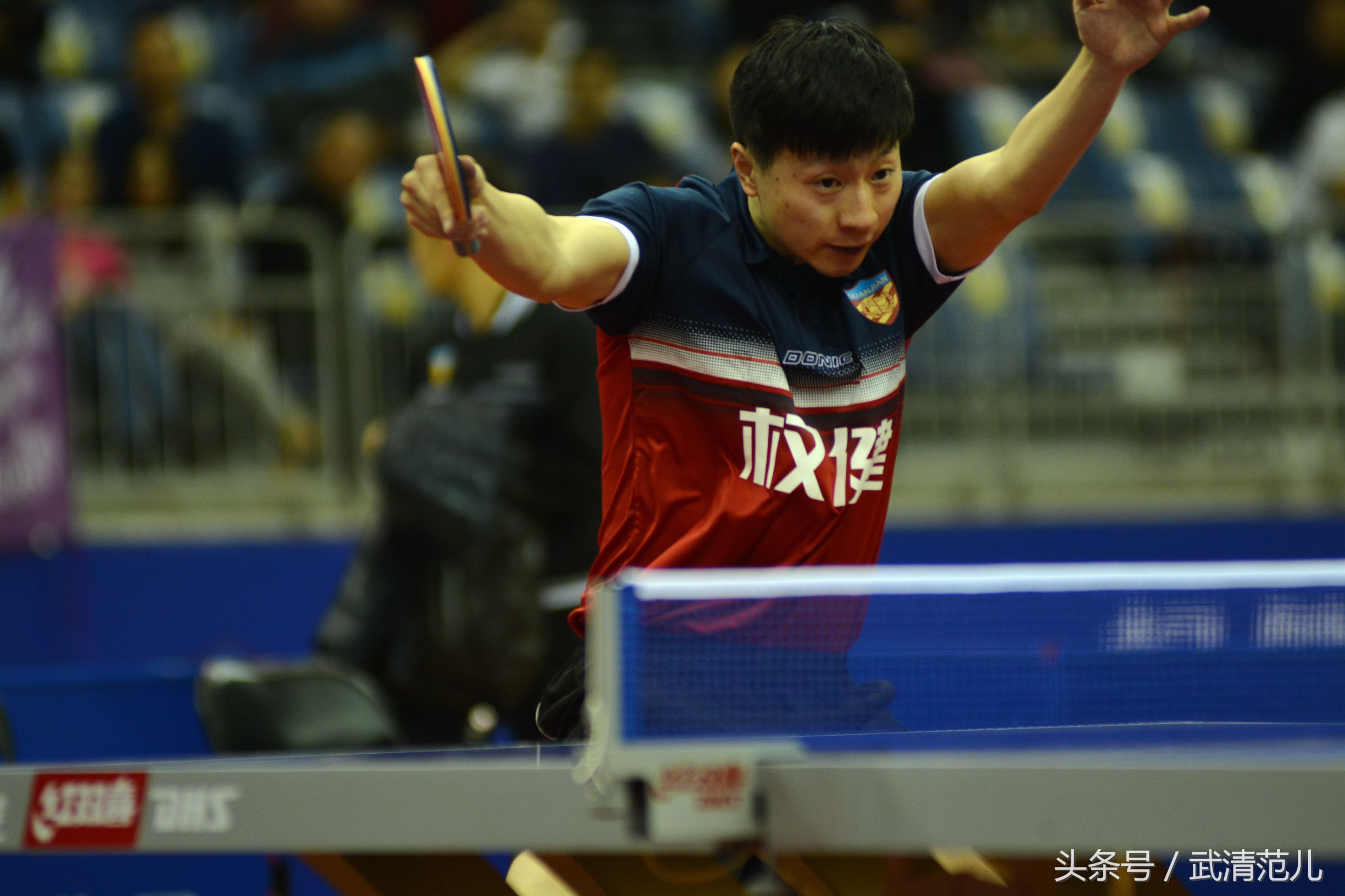 马龙亮相权健,马龙天津权健主场