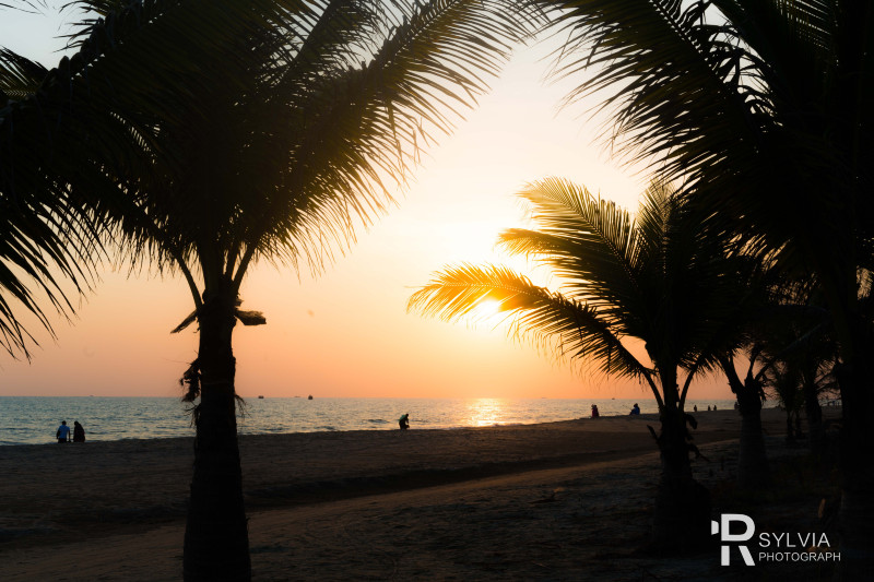 春节去三亚避寒攻略,冬天来三亚避寒