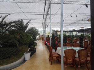 节水护水宣传科普知识,农业高效节水灌溉项目简介