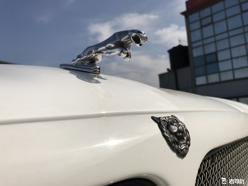 四眼捷豹xj3.0四驱顶配版,捷豹xj8经典色