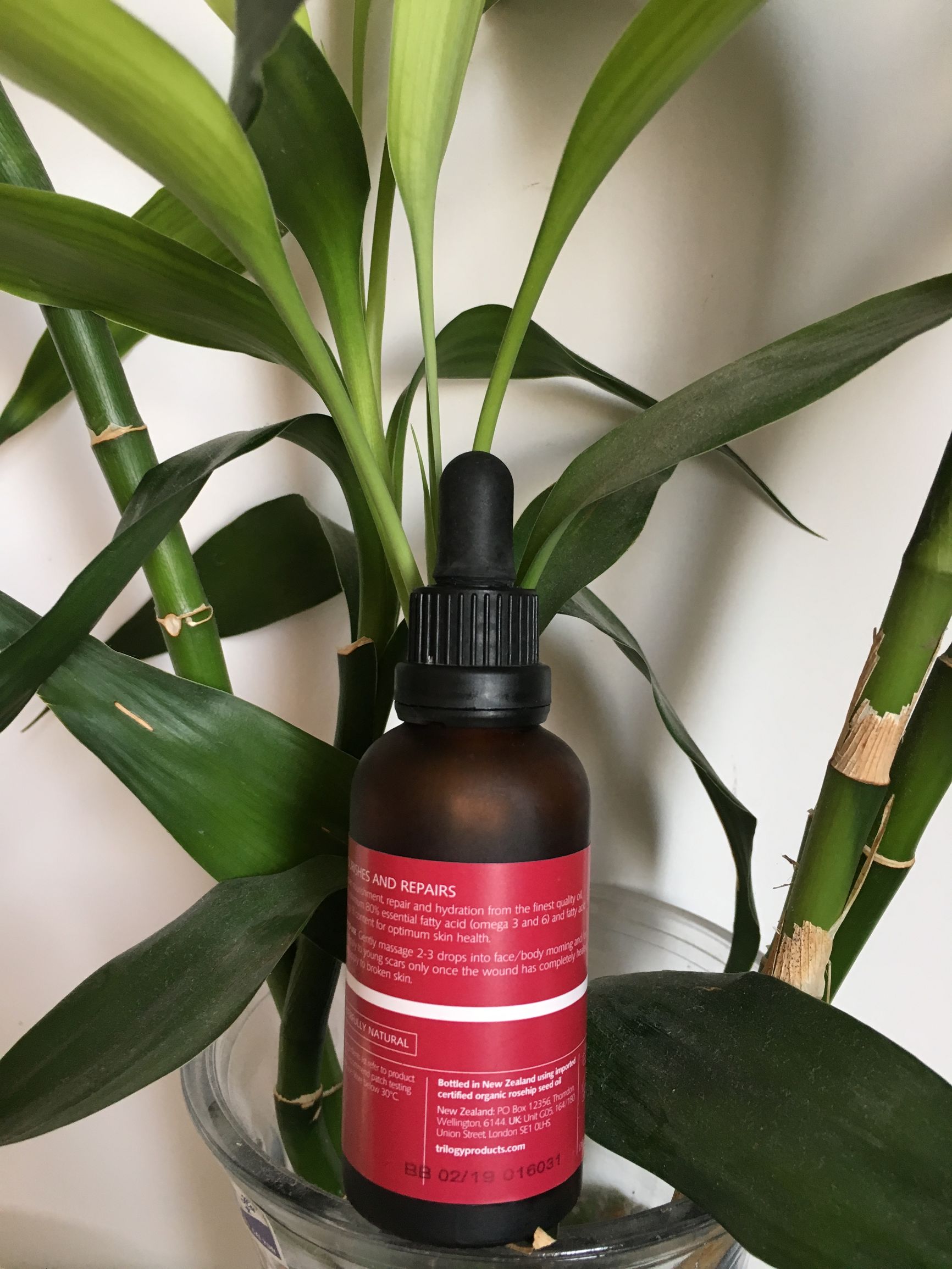 trilogy玫瑰精油,trilogy萃乐活玫瑰精油