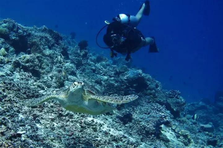 与阿贡对望的日子（二）——吉利岛的乡土潜水日记