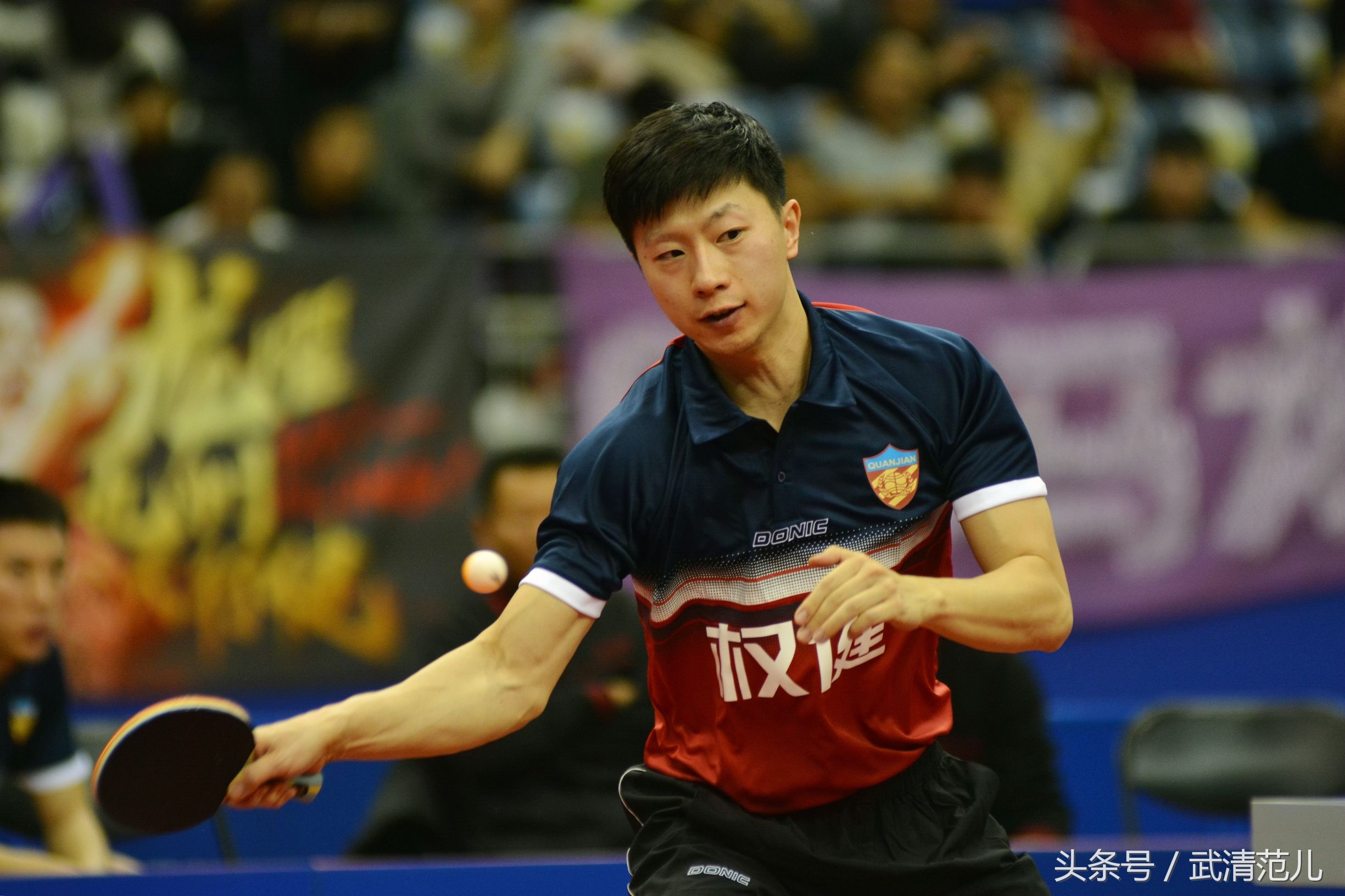 马龙亮相权健,马龙天津权健主场