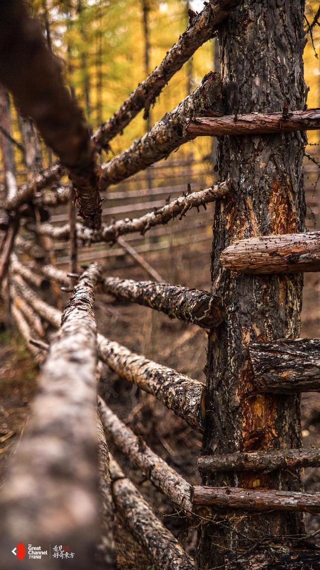 这部轻氧纪录片太震撼《了不起的匠人》之后又一匠心巨制