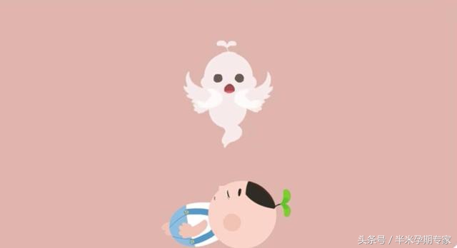 怀孕母猪肺炎怎么治疗,怀孕肺炎支原体感染