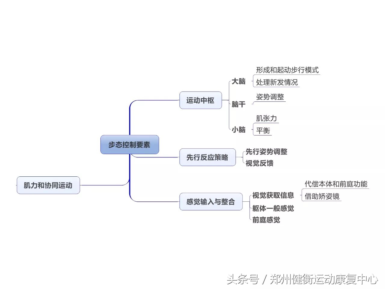 康复治疗技术专业职业思维导图,康复工程知识点思维导图