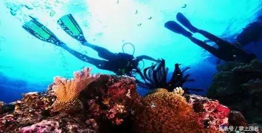 茂名最惊艳的城市,茂名城市美景