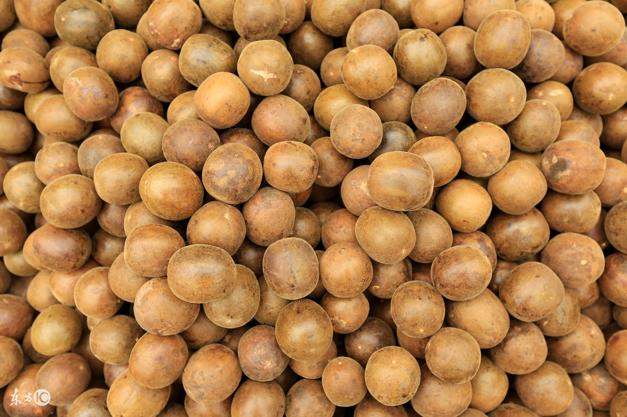 冬天排骨煮什么汤比较降火,冬天煲什么汤清热下火