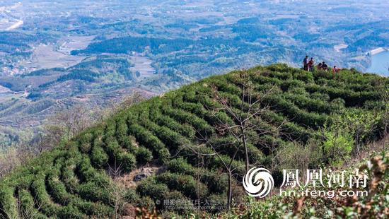 网络媒体文明旅游河南行走进尧山,网络媒体文明旅游