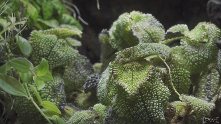 索尼ax7004k摄录一体机,索尼摄像机4kax700值得购买吗