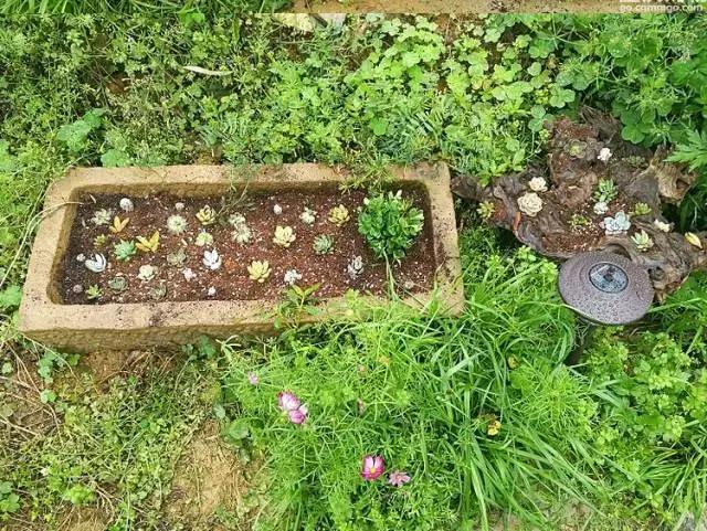 重庆高山避暑垂钓,周末自驾烧烤好去处