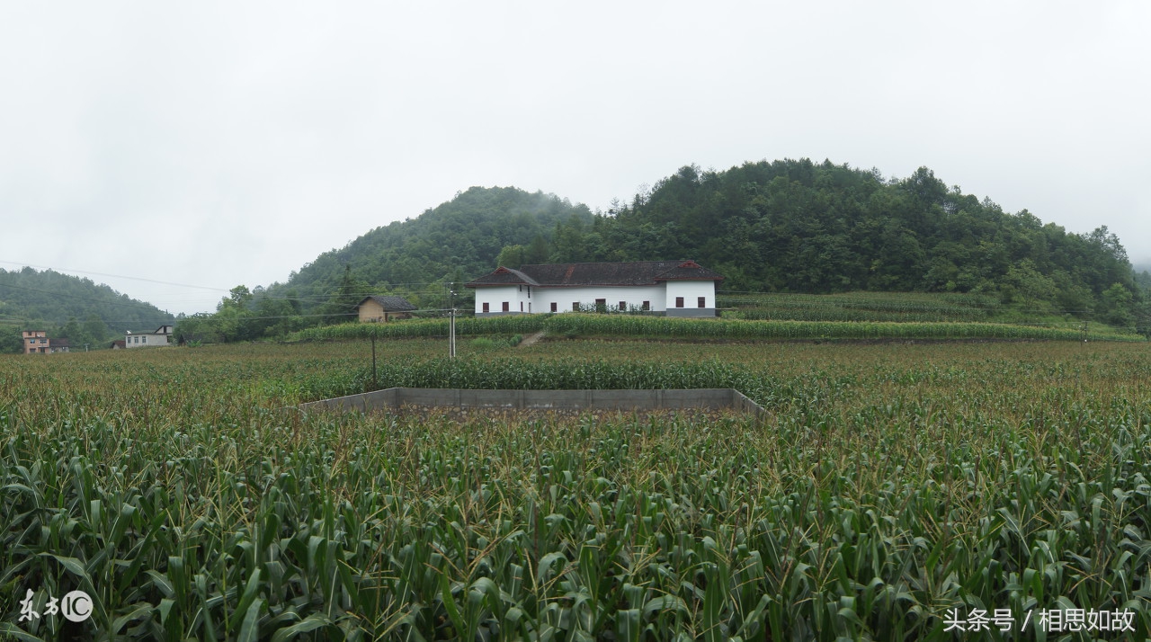 农村投资创业好项目,农村残疾人创业项目