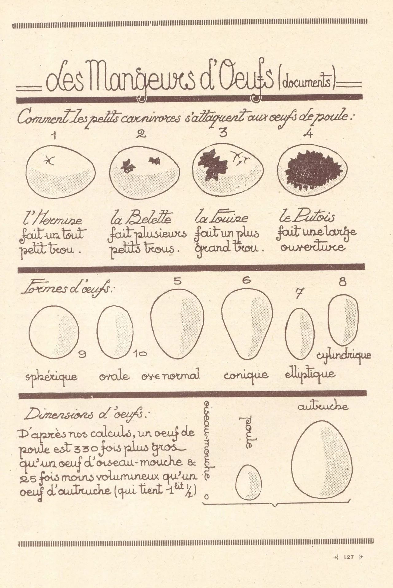 100个超简单的简笔画,2000个超详细简笔画教程