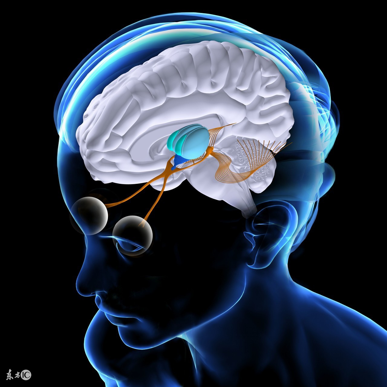 掌握退热方法孩子少受罪，你的退热方法都用对了吗