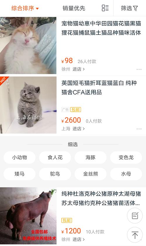 怎样看待网上购买宠物,怎么看待网上买宠物