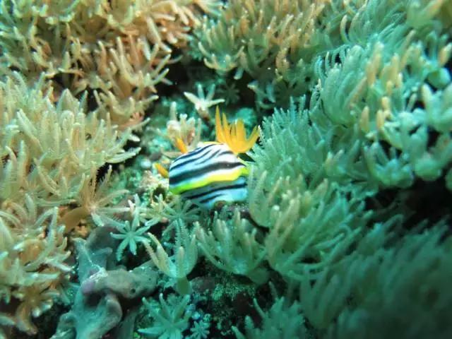 与火山对望的日子,巴厘岛阿贡火山2017年喷发