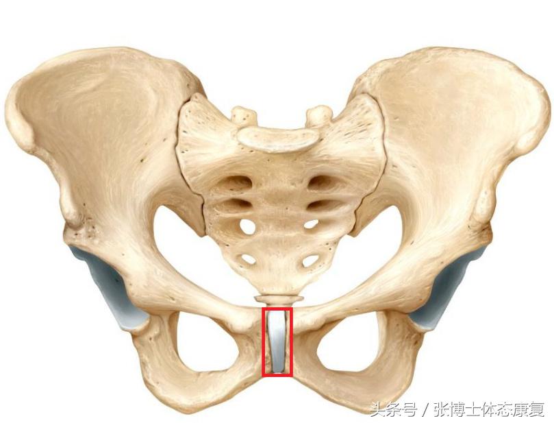 孕期怎么锻炼缓解耻骨疼痛,孕期耻骨疼怎么走路正确