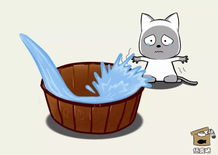 给猫咪洗澡要注意哪些,喵星人洗澡的正确方法