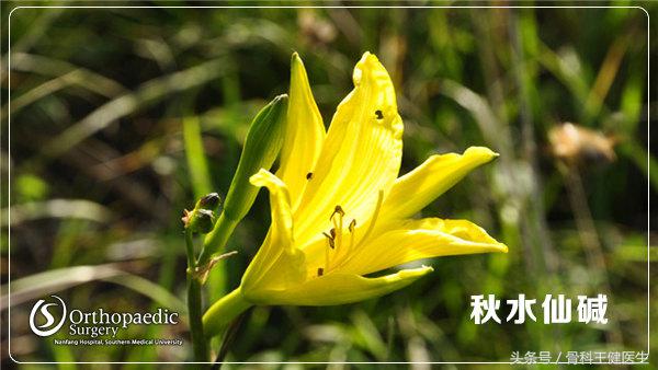 痛风的症状治疗痛风的简单方法,痛风的症状及治疗方法饮食