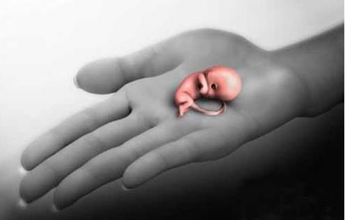 女人做无痛人流的危害,意外怀孕一个月做无痛人流好吗