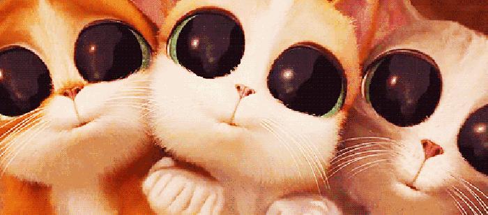 鱼为什么会得寄生虫,鱼有寄生虫需要单独治疗吗