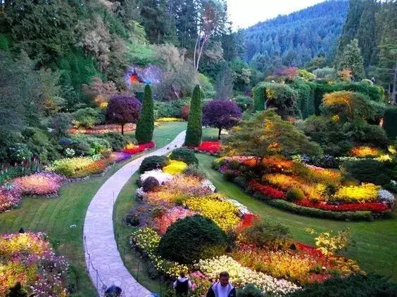 我的相册视频,十寸相册