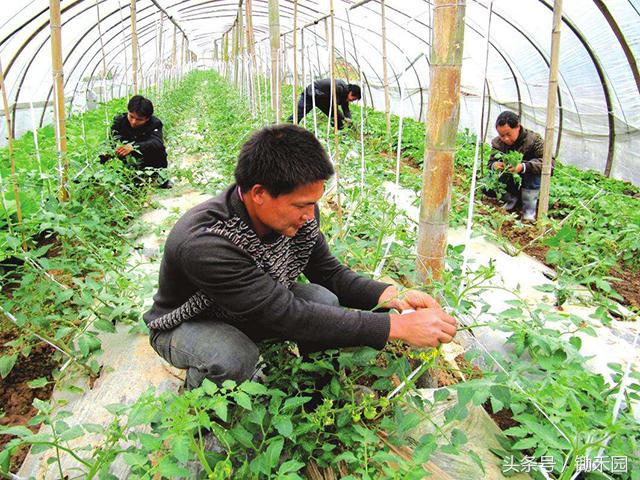 农民工在农村创业门路上干什么活,农民工创业前景