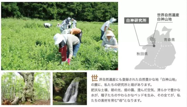 澳尔滨健康水有几个系列,albion奥尔滨健康水好用吗