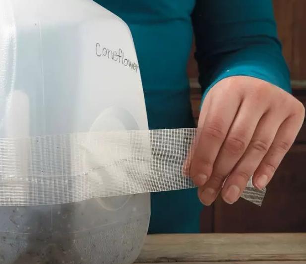 小瓶子手工制作小东西养花,省钱10大养花神器1个塑料瓶做出来