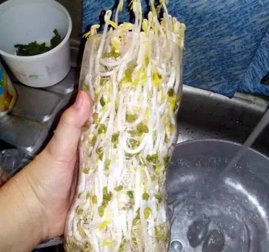 褰撹眴鑺介亣涓婇吀杈ｇ矇鑷儹鐏攨,褰撹眴鑺介亣涓婇吀杈ｇ矇