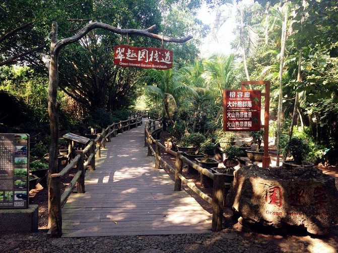 邂逅美丽椰城海口自由行攻略,海南岛自驾游摘椰子