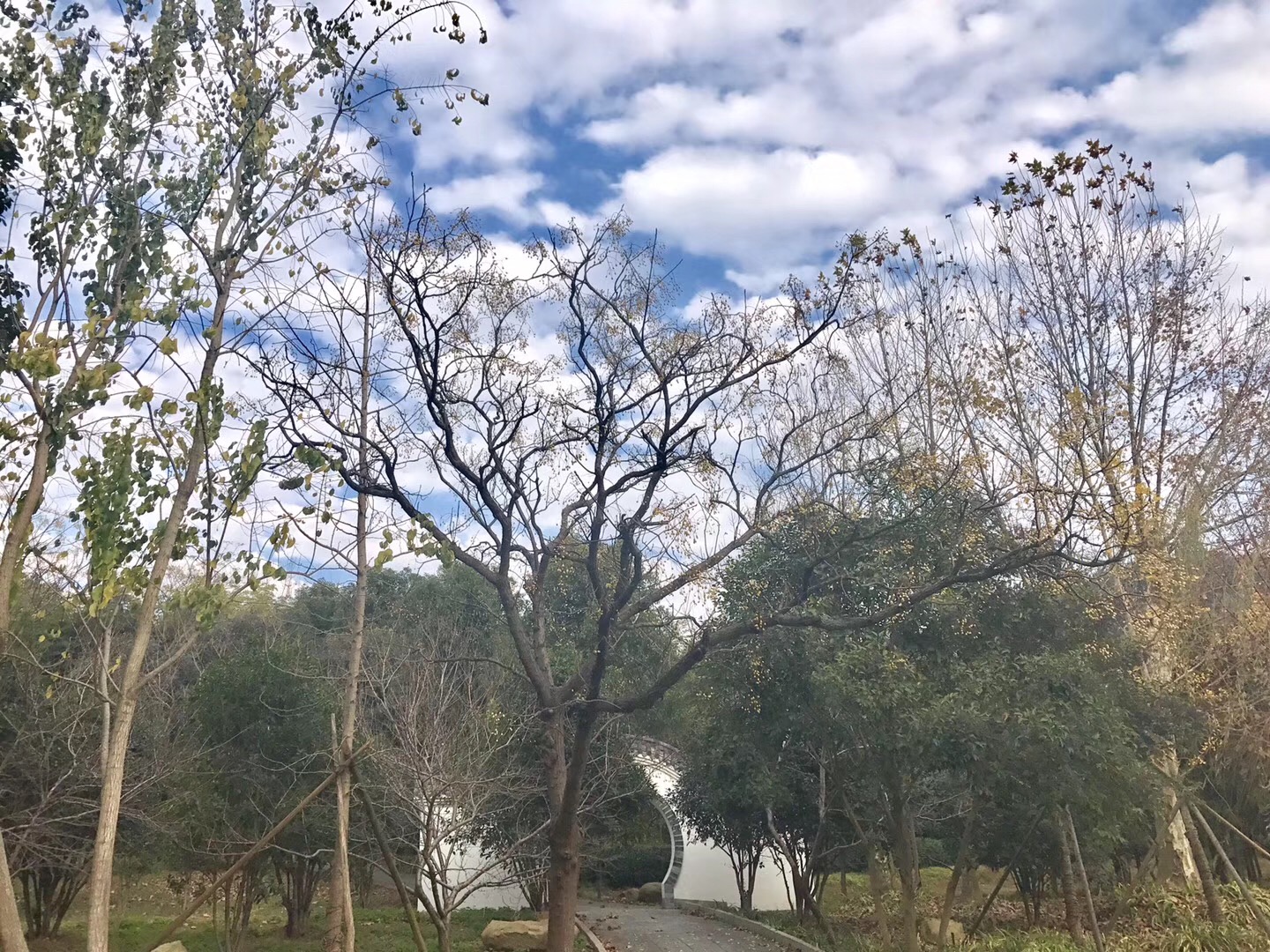 花乡茶谷最好的地方,冬日花乡茶谷
