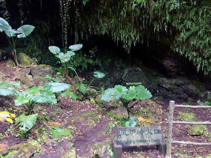 野鹅自驾：3天带你畅玩海口，椰风沐浴，体验不一样的慢旅行！