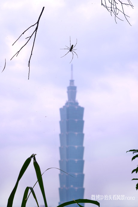 台北象山夜景最美的地方,台北象山夜景