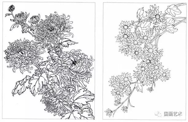 工笔菊花画法步骤示范,工笔菊花设色步骤