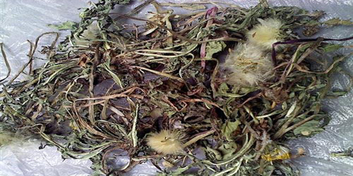 治疗乳痈的中草药偏方配方,乳痈消肿外用中药配方