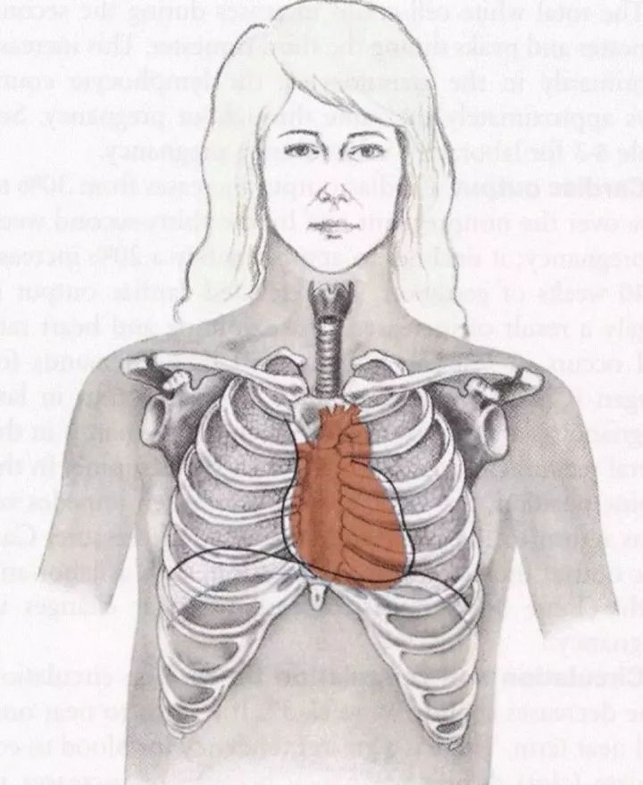 孕妇妈咪的运动指南（二）