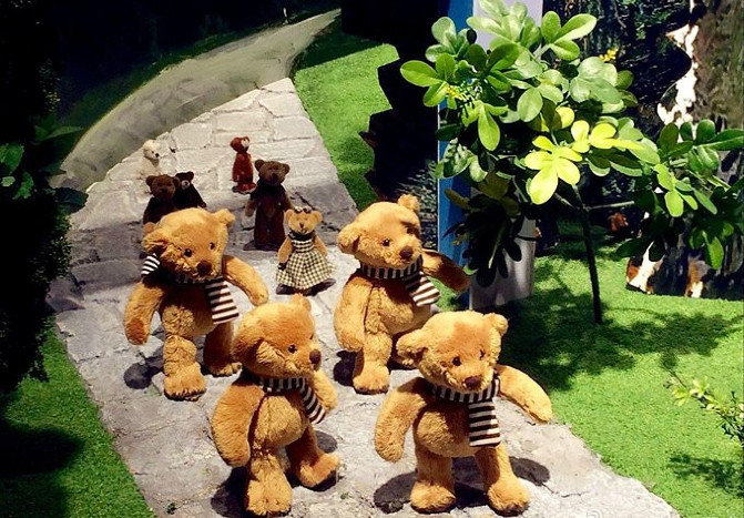 邂逅美丽椰城海口自由行攻略,海南岛自驾游摘椰子