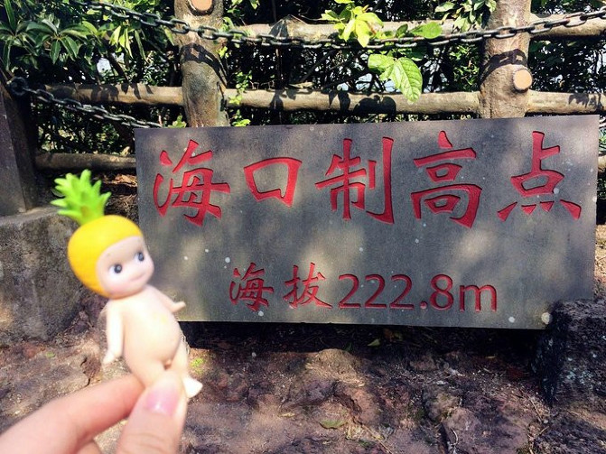 邂逅美丽椰城海口自由行攻略,海南岛自驾游摘椰子