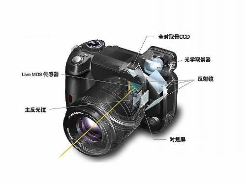 摄影入门单反相机推荐,关于单反相机的基本知识有哪些