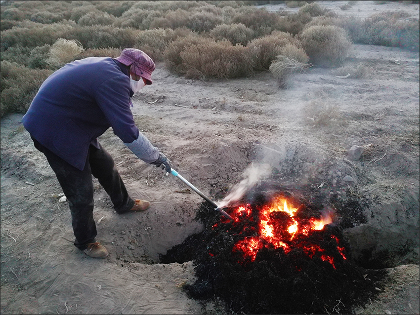蓬灰是这样烧制出来的,烧制蓬灰水农村怎样熬制