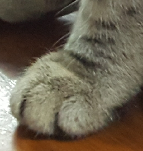 全都太有才了！NGA论坛水友集体COSPLAY魔兽世界技能图标