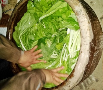 来肇庆端州旅游去哪玩,去肇庆市旅游带什么手信