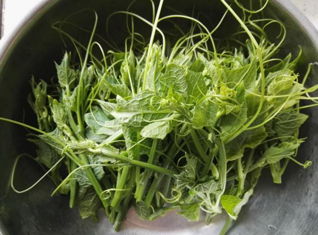 这5种蔬菜宁可扔了都别吃,这4种蔬菜建议不要买来吃